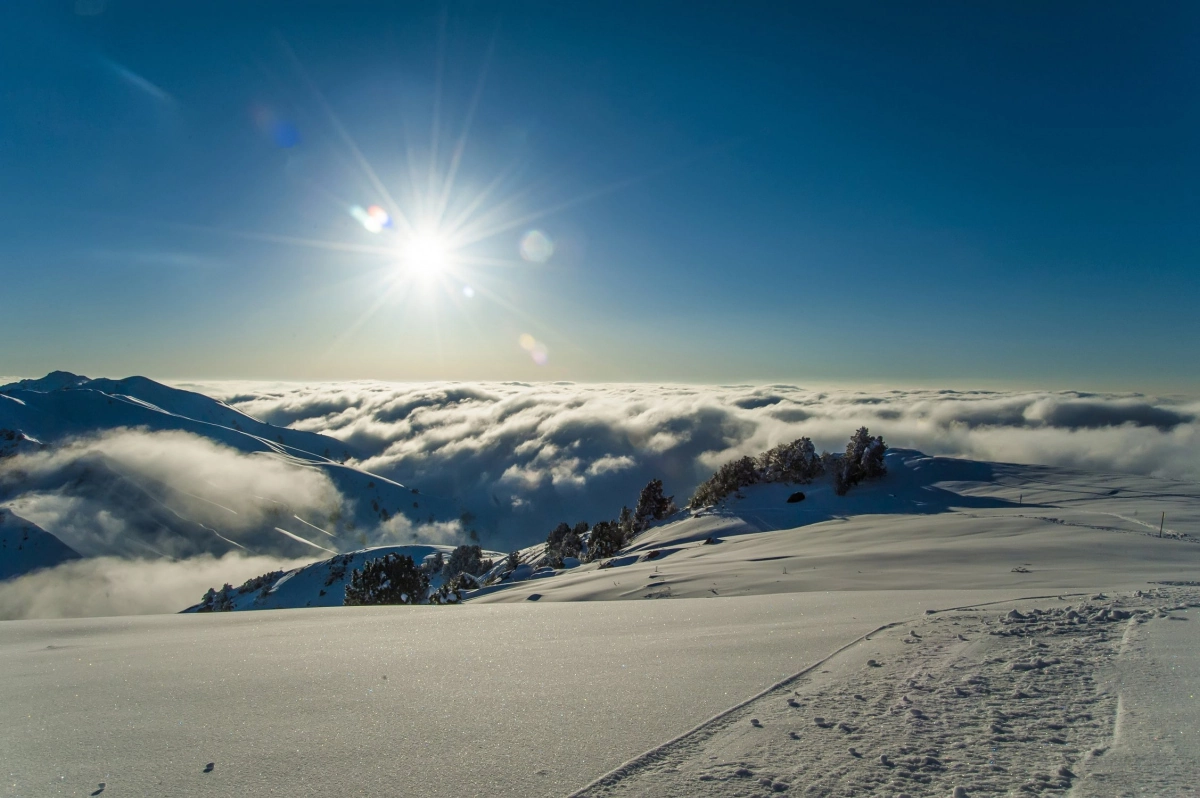 Winter tours Uzbekistan