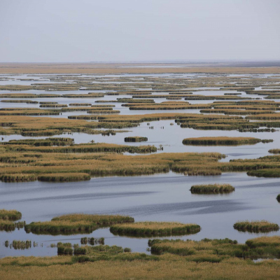 Tour to Aral Sea adventures on an off-road vehicle.